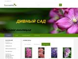 Декоративные растения
http://socvetie.com.ua/