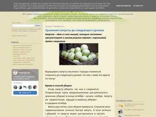 Блог добрых советов
https://dobrsovety.blogspot.com