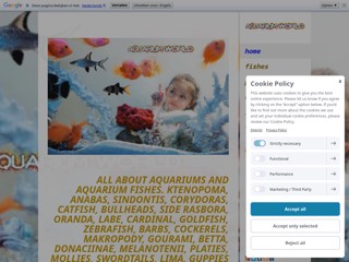 aquarium world
http://aquarium-world.jimdo.com