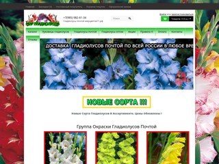 Продажа цветов, продажа гладиолусов в Туле, Москве почтой - Мирцветов71.
http://xn--71-dlcaoq1atpw5b.xn--p1ai