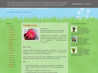 Комнатные цветы
http://www.home-flowers.pp.ua/