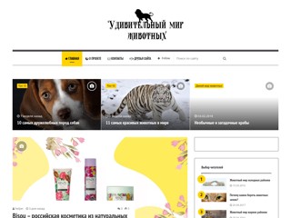 myplanet-ua
https://www.myplanet-ua.com/