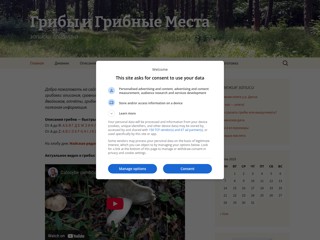 Грибы и грибные места
http://www.griby.org.ua