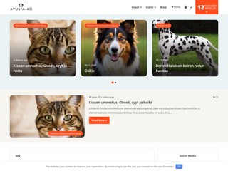 avustajasi
https://avustajasi.com/