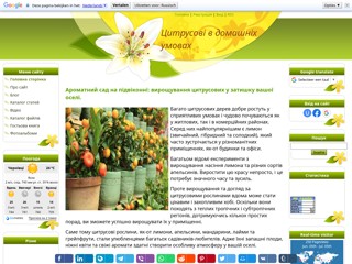 Цитрусові в домашніх умовах
https://citrusathome.at.ua