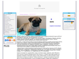 Чихуахуа и мопс. Доска объявлений и форум о собаках. Щенки чихуахуа и мопса. Каталог пород собак.
http://mops.ucoz.ua/