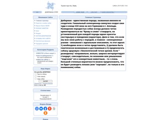 Чёрный Доберман
http://black-doberman.at.ua/