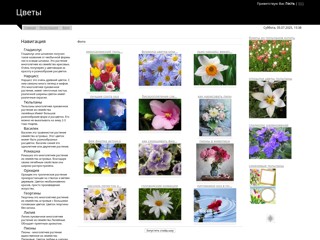 Цветы
http://all-flowers.ucoz.ru