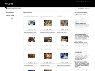 Кошки
http://all-cat.ucoz.ru/