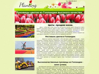 Луковицы цветов из Голландии.
http://www.planting.com.ua