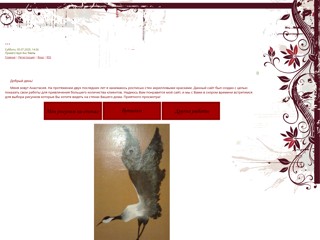 art-lady
http://art-lady.at.ua/