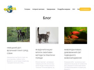 Фауна зоо форум о животных помощь ветеринара общение
http://fauna.dp.ua/forum/