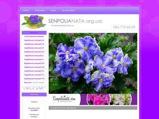 Коллекционеры сенполий (фиалок) из Днепропетровска.
http://www.senpolianata.org.ua/