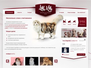 little-kitty
http://little-kitty.by