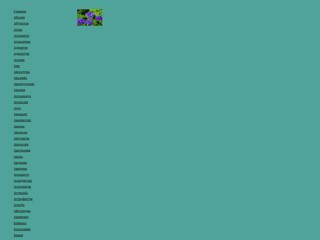 Домашние Растения
http://domarastenia.narod.ru/