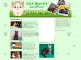 Настоящий кошачий портал
http://cat-runet.com/